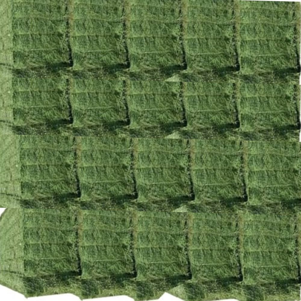 برسيم (جت) - الصورة 2