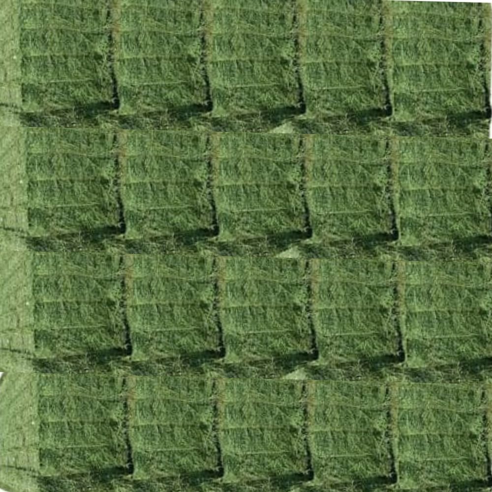 برسيم - جت علف حيوانى