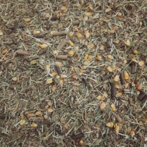 خلطة تبن وجت