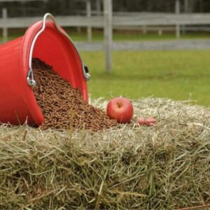 علف الفواكه لتسمين